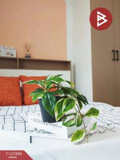 ขายห้องชุด เอื้ออาทรพหลโยธิน กม.44 ปทุมธานี ห้องสวย-202509171019381758079178668.jpg