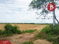 ขายที่ดิน เนื้อที่ 14 ไร่ 2 งาน 31 ตร.วาดอนกำยาน สุพรรณบุรี-202509171131161758083476371.jpg