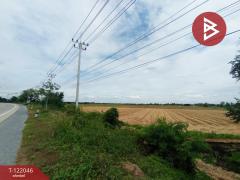 ขายที่ดิน เนื้อที่ 14 ไร่ 2 งาน 31 ตร.วาดอนกำยาน สุพรรณบุรี-202509171131161758083476902.jpg