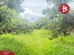 ขายที่ดิน เนื้อที่ 1 ไร่ 3 งาน 30.3 ตร.วา สันป่าตอง เชียงใหม่-202509171139331758083973805.jpg