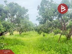 ขายที่ดิน เนื้อที่ 1 ไร่ 3 งาน 30.3 ตร.วา สันป่าตอง เชียงใหม่-202509171139361758083976198.jpg