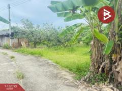 ขายที่ดิน เนื้อที่ 1 ไร่ 3 งาน 30.3 ตร.วา สันป่าตอง เชียงใหม่-202509171139401758083980108.jpg