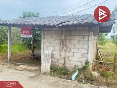 ขายที่ดิน เนื้อที่ 1 ไร่ 3 งาน 30.3 ตร.วา สันป่าตอง เชียงใหม่-202509171139411758083981157.jpg