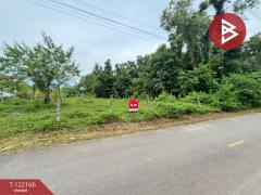  ขายที่ดิน เนื้อที่ 2 งาน 47 ตร.วา แกลง ระยอง-202509171231241758087084849.jpg