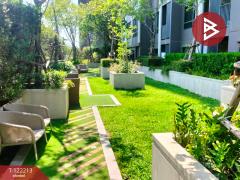 ขายคอนโด เดอะทรี จรัญสนิทวงศ์30 บางกอกน้อย กรุงเทพมหานคร-202509171246071758087967500.jpg