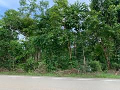 ขายที่ดินสวย 12-1-37 ไร่ ติดถนนดำ ใกล้ที่ว่าการอำเภอ-โรงพยาบาล เพียง 5 ล้าน