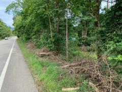 ขายที่ดินสวย 12-1-37 ไร่ ติดถนนดำ ใกล้ที่ว่าการอำเภอ-โรงพยาบาล เพียง 5 ล้าน-202509171303441758089024893.jpg