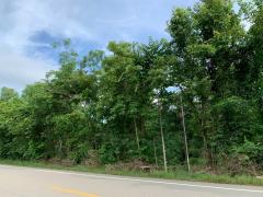 ขายที่ดินสวย 12-1-37 ไร่ ติดถนนดำ ใกล้ที่ว่าการอำเภอ-โรงพยาบาล เพียง 5 ล้าน-202509171303451758089025444.jpg