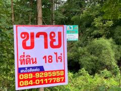 ขายที่ดินสวย 12-1-37 ไร่ ติดถนนดำ ใกล้ที่ว่าการอำเภอ-โรงพยาบาล เพียง 5 ล้าน-202509171303451758089025994.jpg