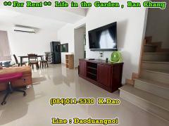 #Life in the garden, Ban Chang *** House for Rent ***-202509171313341758089614498.jpg