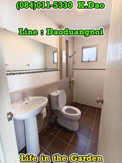 #Life in the garden, Ban Chang *** House for Rent ***-202509171313351758089615002.jpg