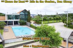 #Life in the garden, Ban Chang *** House for Rent ***-202509171313381758089618682.jpg