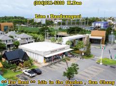 #Life in the garden, Ban Chang *** House for Rent ***-202509171313391758089619174.jpg