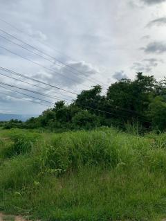 ขายที่ดิน 6-0-10 ไร่ ติดถนนดำ ใกล้ที่ว่าการอำเภอ-โรงพยาบาล ราคาเพียง 2.5 ล้าน