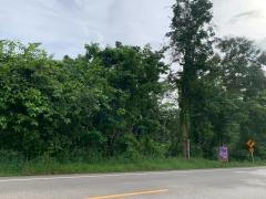 ขายที่ดิน 6-0-10 ไร่ ติดถนนดำ ใกล้ที่ว่าการอำเภอ-โรงพยาบาล ราคาเพียง 2.5 ล้าน-202509171347511758091671556.jpg