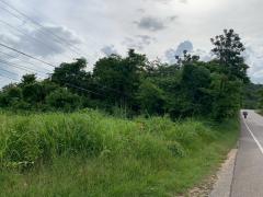 ขายที่ดิน 6-0-10 ไร่ ติดถนนดำ ใกล้ที่ว่าการอำเภอ-โรงพยาบาล ราคาเพียง 2.5 ล้าน-202509171347521758091672116.jpg