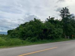 ขายที่ดิน 6-0-10 ไร่ ติดถนนดำ ใกล้ที่ว่าการอำเภอ-โรงพยาบาล ราคาเพียง 2.5 ล้าน-202509171347521758091672758.jpg