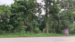 ขายที่ดิน 6-0-10 ไร่ ติดถนนดำ ใกล้ที่ว่าการอำเภอ-โรงพยาบาล ราคาเพียง 2.5 ล้าน-202509171347531758091673316.jpg