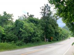 ขายที่ดิน 6-0-10 ไร่ ติดถนนดำ ใกล้ที่ว่าการอำเภอ-โรงพยาบาล ราคาเพียง 2.5 ล้าน-202509171347541758091674612.jpg