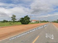 ขายที่ดิน 16-1-25 ไร่ ติดทางหลวงสายชัยภูมิ-บัวใหญ่ 202 ใกล้ อบต.ขุนทอง อ.บัวใหญ่ นครราชสีมา-202509171405181758092718142.jpg