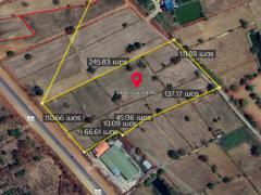 ขายที่ดิน 16-1-25 ไร่ ติดทางหลวงสายชัยภูมิ-บัวใหญ่ 202 ใกล้ อบต.ขุนทอง อ.บัวใหญ่ นครราชสีมา-202509171405441758092744412.jpg