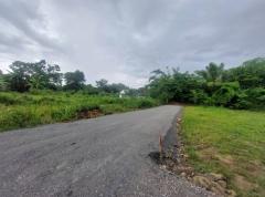 ขายที่ดิน(ต.หนองควาย-อ.หางดง)-ที่ดิน3-