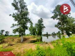 ขายที่ดิน เนื้อที่ 40 ไร่ บ้านโพธิ์ ฉะเชิงเทรา