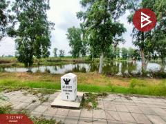 ขายที่ดิน เนื้อที่ 40 ไร่ บ้านโพธิ์ ฉะเชิงเทรา-202509171424041758093844283.jpg