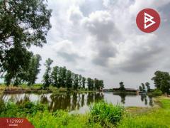 ขายที่ดิน เนื้อที่ 40 ไร่ บ้านโพธิ์ ฉะเชิงเทรา-202509171424061758093846219.jpg