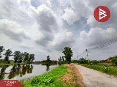 ขายที่ดิน เนื้อที่ 40 ไร่ บ้านโพธิ์ ฉะเชิงเทรา-202509171424071758093847784.jpg