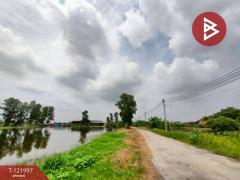 ขายที่ดิน เนื้อที่ 40 ไร่ บ้านโพธิ์ ฉะเชิงเทรา-202509171424081758093848310.jpg