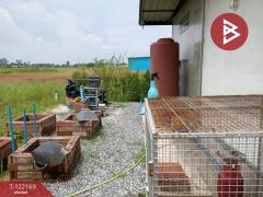 ขายบ้านเดี่ยวชั้นเดียว เนื้อที่ 56 ตารางวา ต.ห้วยพระ อ.ดอนตูม นครปฐม บรรยากาศเงียบสงบ-202509171428041758094084894.jpg