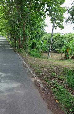 ที่ดินสวนลำไย-ใกล้เมืองเชียงใหม่-เ