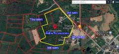 ขายที่ดิน 94 ไร่ พร้อมบ้านและโรงเรือน แถมไม้ป่าขนาดใหญ่เต็มแปลง ต.ศาลาลำดวน อ.เมือง จ.สระแก้ว -202509171446481758095208144.jpg