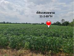 ขาย ที่ดิน ย่านบ้านบุ่งตะแบก อ.โนนไทย จ.นครราชสีมา ห่างจากถนนคอนกรีตแค่ 300 ม. เนื้อที่ 11 ไร่ 2 งาน 69 ตรว ฟรีโอน ลดราคาอีก อยากขายด่วน.-202509171629171758101357667.jpg