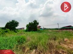 ขายที่ดิน เนื้อที่ 1 งาน 29 ตร.วา บ้านโพธิ์ ฉะเชิงเทรา-202509171644591758102299116.jpg