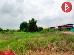 ขายที่ดิน เนื้อที่ 1 งาน 29 ตร.วา บ้านโพธิ์ ฉะเชิงเทรา-202509171644591758102299764.jpg