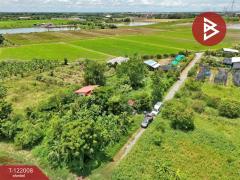 ขายที่ดิน เนื้อที่ 1 งาน บางเลน นครปฐม-202509171749201758106160083.jpg