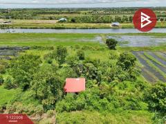 ขายที่ดิน เนื้อที่ 1 งาน บางเลน นครปฐม-202509171749211758106161379.jpg