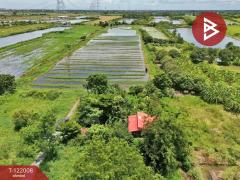 ขายที่ดิน เนื้อที่ 1 งาน บางเลน นครปฐม-202509171749211758106161912.jpg