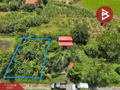 ขายที่ดิน เนื้อที่ 1 งาน บางเลน นครปฐม-202509171749221758106162537.jpg