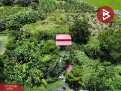 ขายที่ดิน เนื้อที่ 1 งาน บางเลน นครปฐม-202509171749241758106164179.jpg