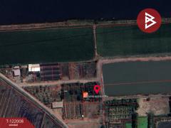 ขายที่ดิน เนื้อที่ 1 งาน บางเลน นครปฐม-202509171749241758106164714.jpg