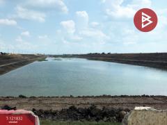 ขายที่ดิน เนื้อที่ 12 ไร่ 2 งาน 74.2 ตารางวา บางบาล อยุธยา-202509172233341758123214517.jpg