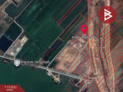 ขายที่ดิน เนื้อที่ 12 ไร่ 2 งาน 74.2 ตารางวา บางบาล อยุธยา-202509172233351758123215578.jpg