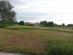 ขายที่ดินห้วยโป่ง ระยอง 6 ไร่ 3งาน 53ตร.ว *ผังสีเหลือง* ใกล้ตลาดปีนัง4.0 ห้วยโป่ง-202509172305041758125104196.jpg