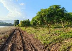 ที่ดินโฉนด 74-2-1.2 ไร่ ติดอ่างเก็บน้ำ ต.แม่ปั๋ง อ.พร้าว เชียงใหม่