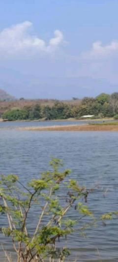 ที่ดินโฉนด 74-2-1.2 ไร่ ติดอ่างเก็บน้ำ ต.แม่ปั๋ง อ.พร้าว เชียงใหม่-202509180325461758140746475.jpg