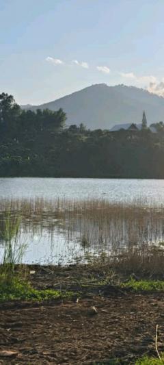 ที่ดินโฉนด 74-2-1.2 ไร่ ติดอ่างเก็บน้ำ ต.แม่ปั๋ง อ.พร้าว เชียงใหม่-202509180325501758140750827.jpg