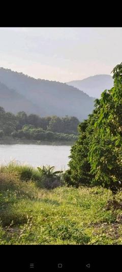 ที่ดินโฉนด 74-2-1.2 ไร่ ติดอ่างเก็บน้ำ ต.แม่ปั๋ง อ.พร้าว เชียงใหม่-202509180326001758140760709.jpg